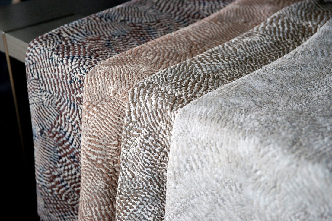 INTRODUCING ZAKI AND PARADISE