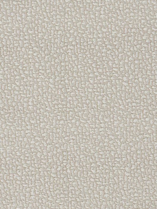 Fabric Sample - Aspen – Snow (SFSASP01)
