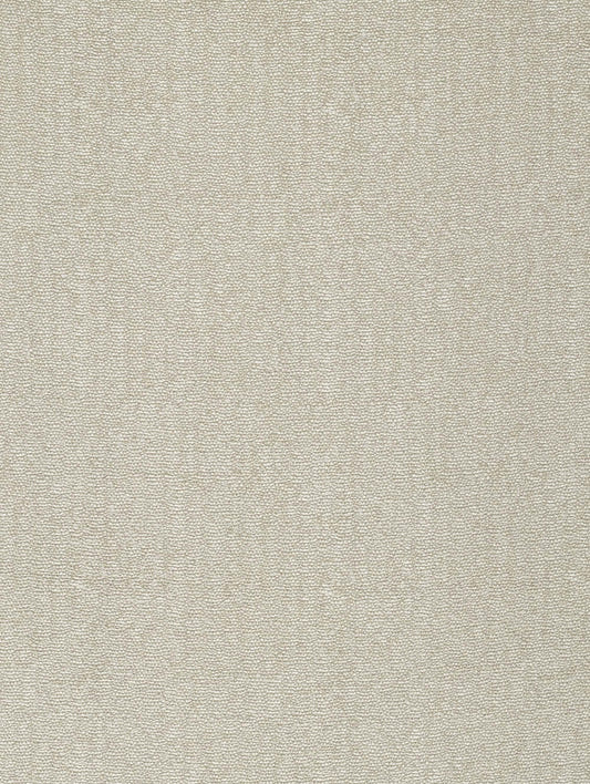 Fabric Sample - Caruso – Putty (SFSCARU02)