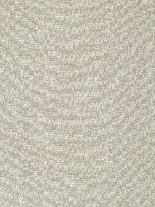 Fabric Sample - Caruso – Putty (SFSCARU02)