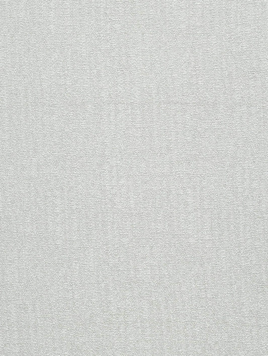 Fabric Sample - Caruso – Birch (SFSCARU04)
