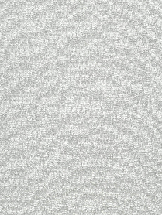 Fabric Sample - Caruso – Birch (SFSCARU04)