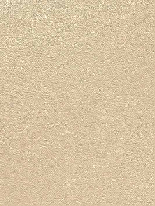 Fabric Sample - Mezzo – Champagne (SFSMEZ02)