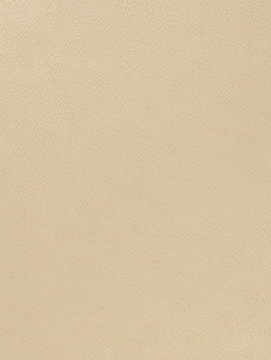 Fabric Sample - Mezzo – Champagne (SFSMEZ02)