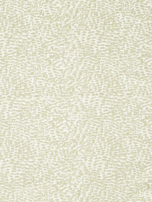 Coral Fabric – Seafoam (CRAL02)