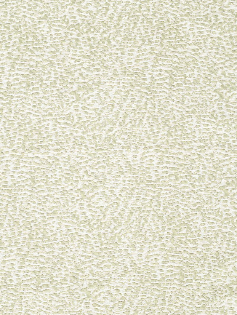 Coral Cushion - Seafoam, Self Piped (CC0029)
