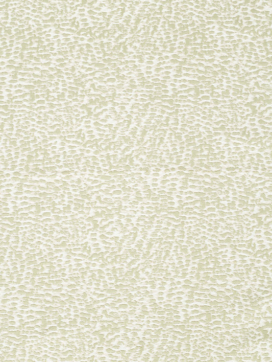 Fabric Sample - Coral – Seafoam (SFSCRAL02)